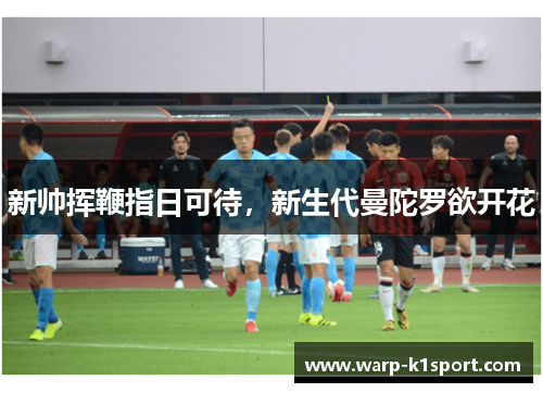新帅挥鞭指日可待,新生代曼陀罗欲开花 新帅挥鞭指日可待,新生代曼陀罗欲开花
